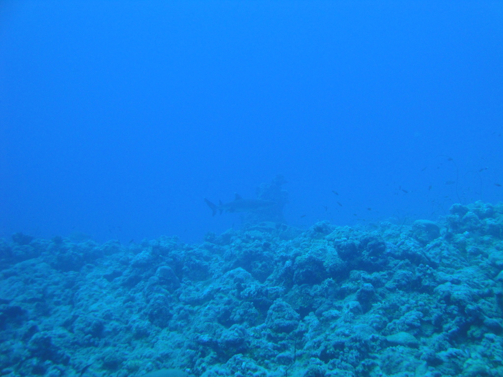DSC00647.JPG