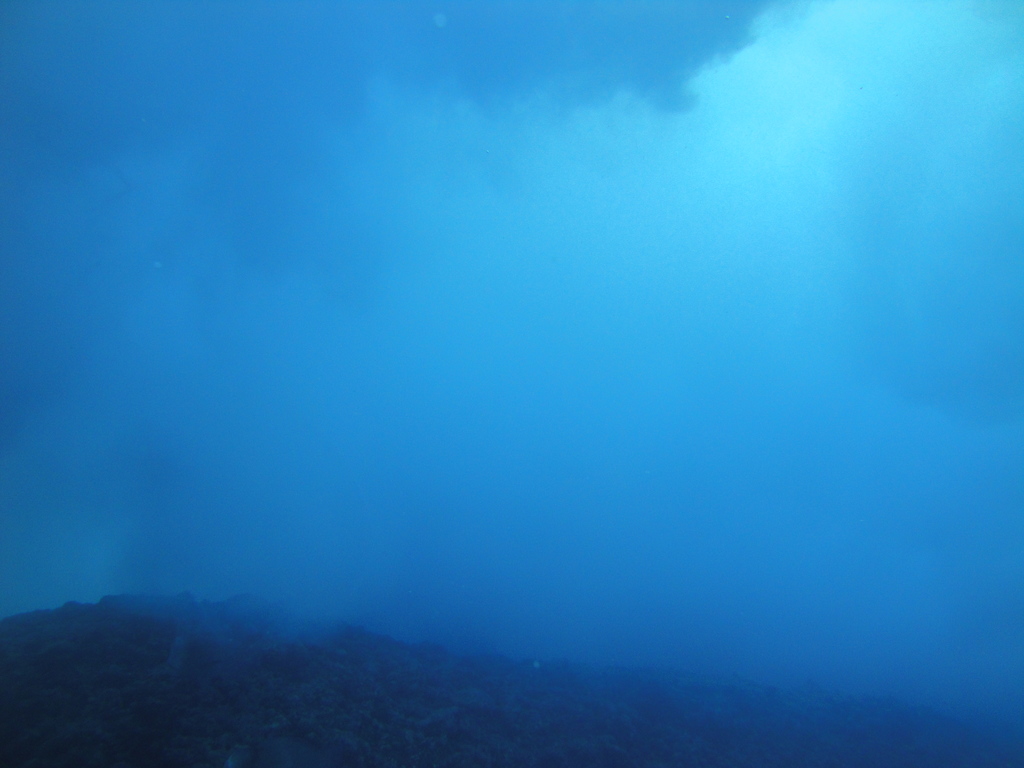 DSC00655.JPG