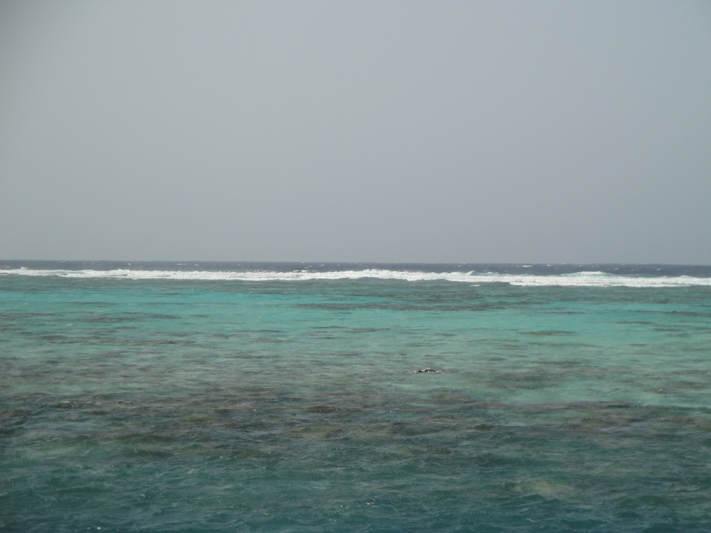 DSC00673.JPG