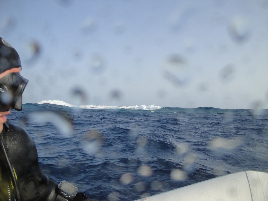 DSC00674.JPG