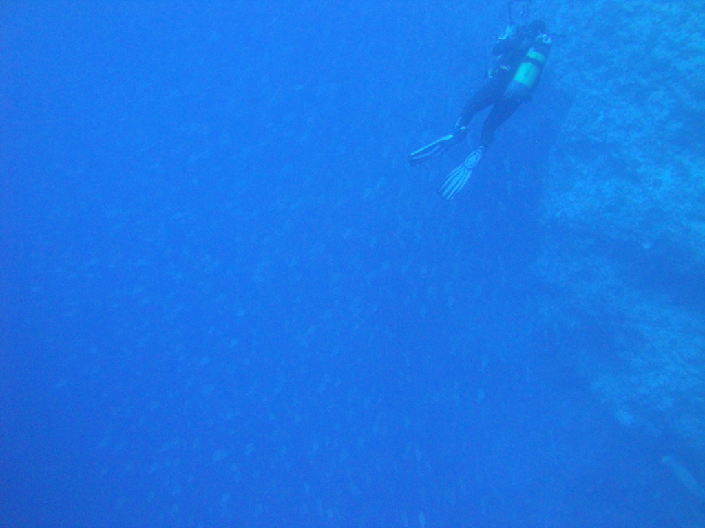 DSC00680.JPG