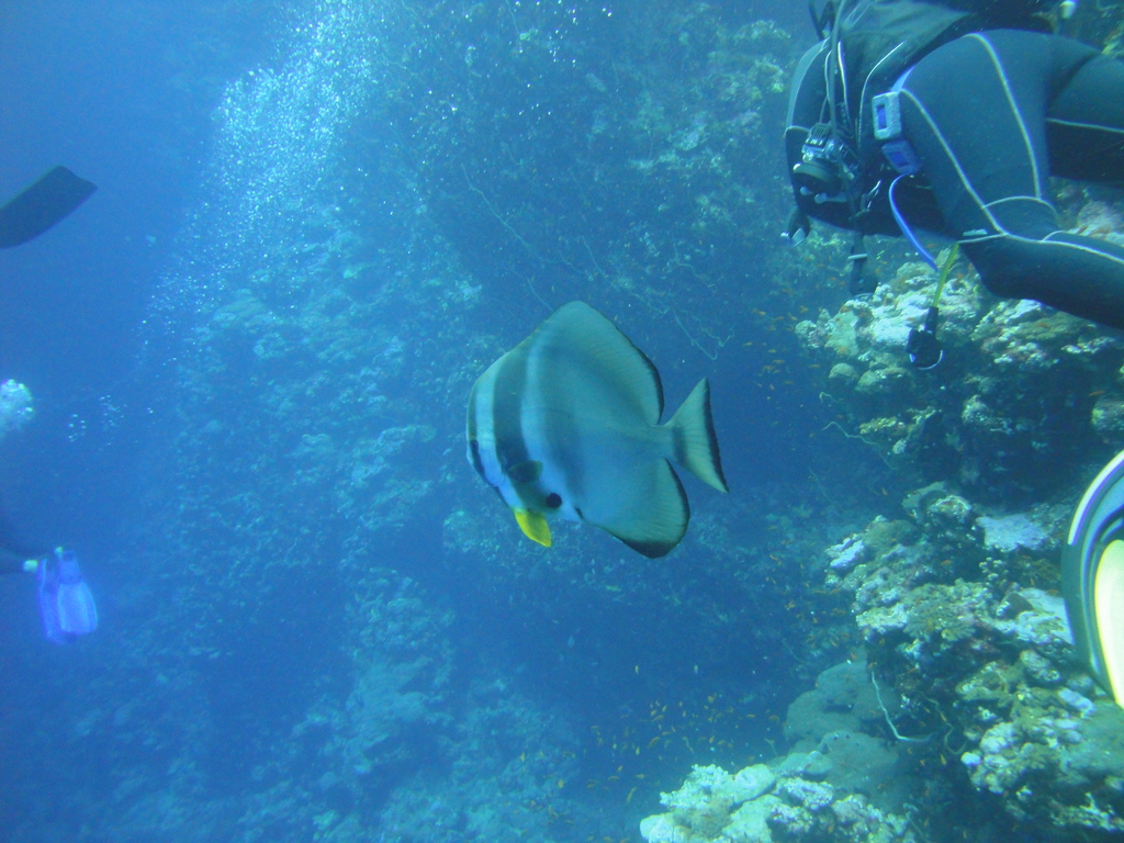 DSC00716.JPG