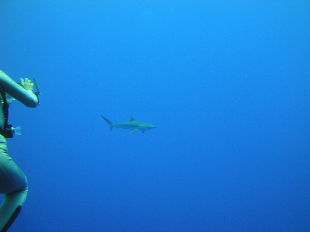 DSC00723.JPG