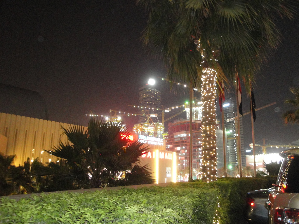 DSC00804.JPG