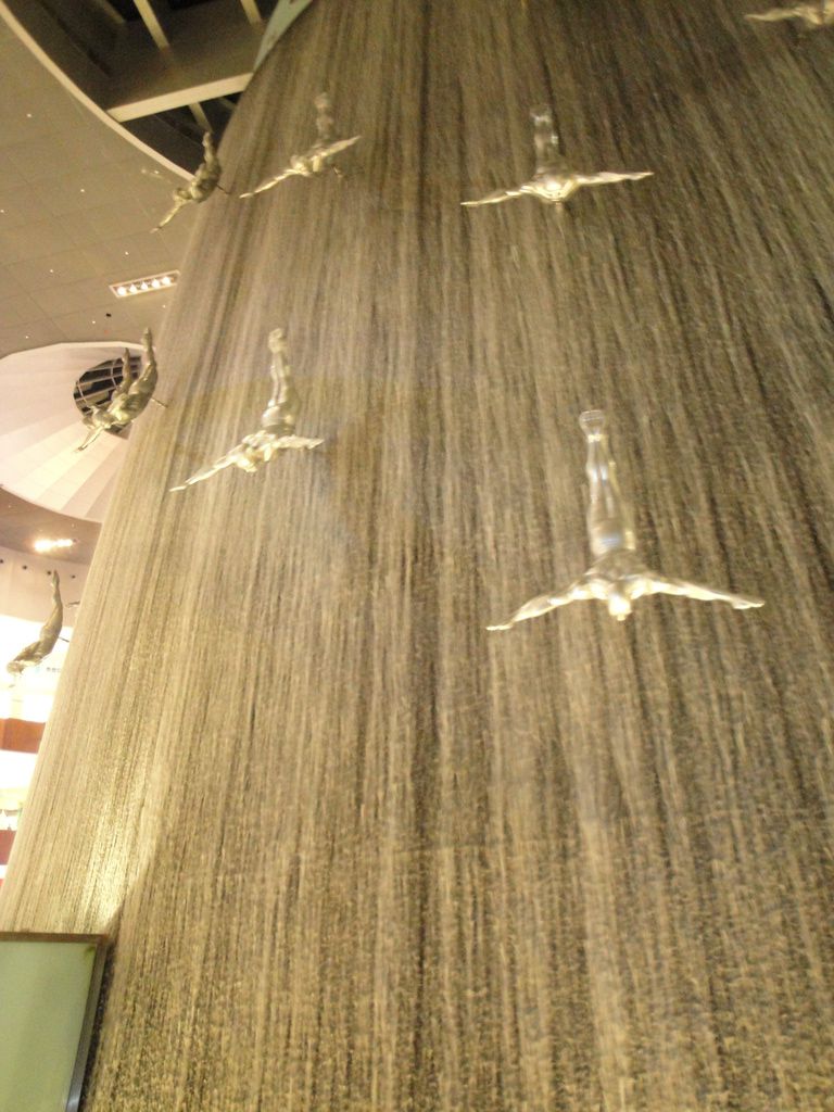 DSC00811.JPG
