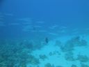 DSC00008.JPG