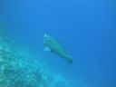 DSC00029.JPG