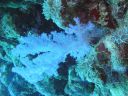 DSC00036.JPG