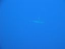DSC00056.JPG