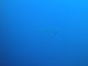 DSC00062.JPG