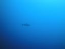 DSC00064.JPG