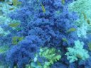 DSC00065.JPG