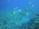 DSC00067.JPG