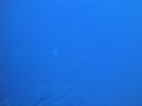 DSC00084.JPG