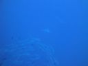 DSC00086.JPG