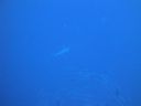 DSC00089.JPG