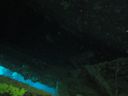 Dateiname=DSC00234.JPG
Dateigröße=272KB
Abmessungen: 1024x768
hinzugefügt am: 30. April 2015 DSC00234.JPG