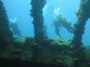 DSC00270.JPG