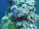 DSC00276.JPG