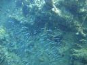 DSC00283.JPG