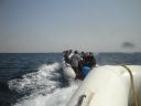 DSC00300.JPG