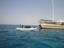 DSC00308.JPG