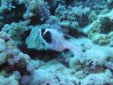 DSC00313.JPG