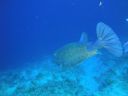 DSC00314.JPG