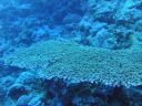 DSC00316.JPG