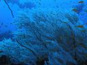 DSC00319.JPG