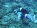 DSC00325.JPG