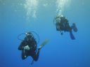 DSC00330.JPG