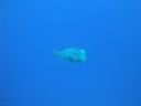 DSC00336.JPG