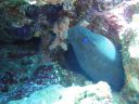 DSC00344.JPG