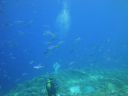 DSC00345.JPG