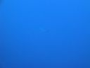 DSC00350.JPG