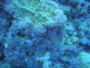 DSC00352.JPG