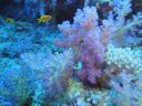 DSC00353.JPG