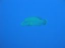 DSC00354.JPG