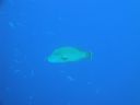 DSC00355.JPG