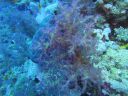 DSC00360.JPG