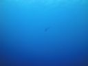 DSC00361.JPG