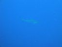 DSC00363.JPG