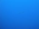 DSC00365.JPG