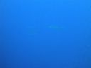 DSC00367.JPG