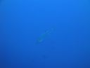 DSC00378.JPG
