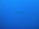 DSC00379.JPG
