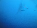 DSC00380.JPG