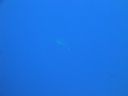 DSC00387.JPG