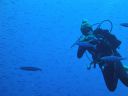 DSC00389.JPG